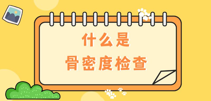 【雙能x線骨密度儀】什么是骨密度檢查？該怎么查？
